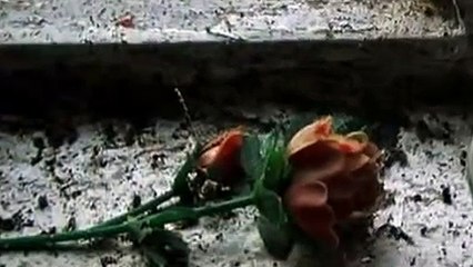 Pierre Bachelet -( Pleure pas boulou )