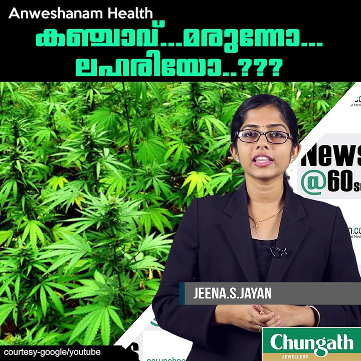കഞ്ചാവ്...മരുന്നോ...ലഹരിയോ..??? #AnweshanamLife