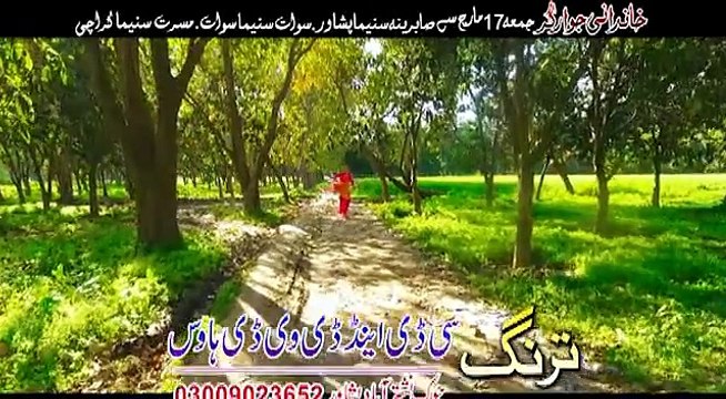 Shahid Khan, Sumbal Khan - Pashto HD film KHANADANI JAWARGAR song Mini Di Bacha Pa Malangy HD 1080p
