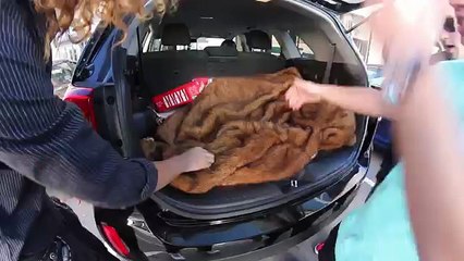 Coke Prank on Cops