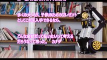 ᴴᴰ 日本の山中で飛行機の墜落事故に遭ったフランス人　死を覚悟した彼が見たものは…【感動・九死に一生・報道されない真実・日本人すごい】　【あすか】 (1)