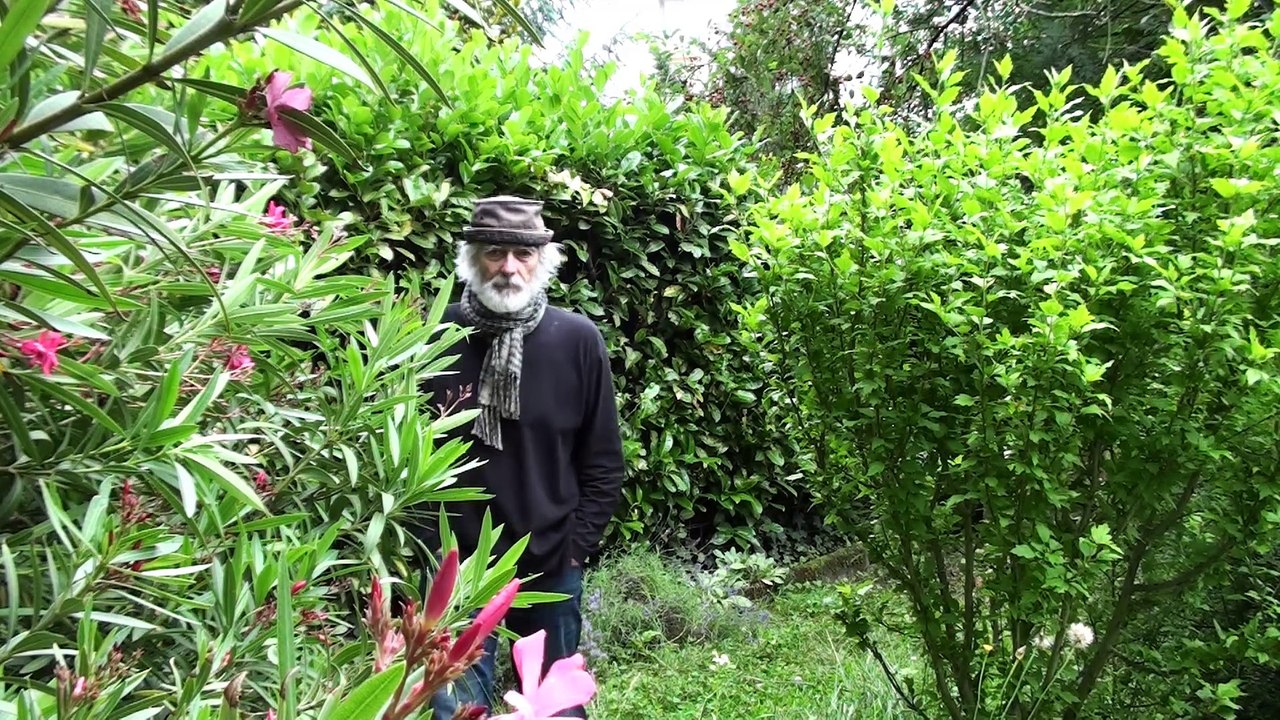 Le Métèque (reprise)