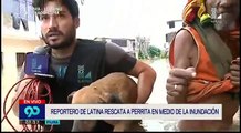Reportero interrumpe transmisión en inundación para rescatar a una perrita - YouTube