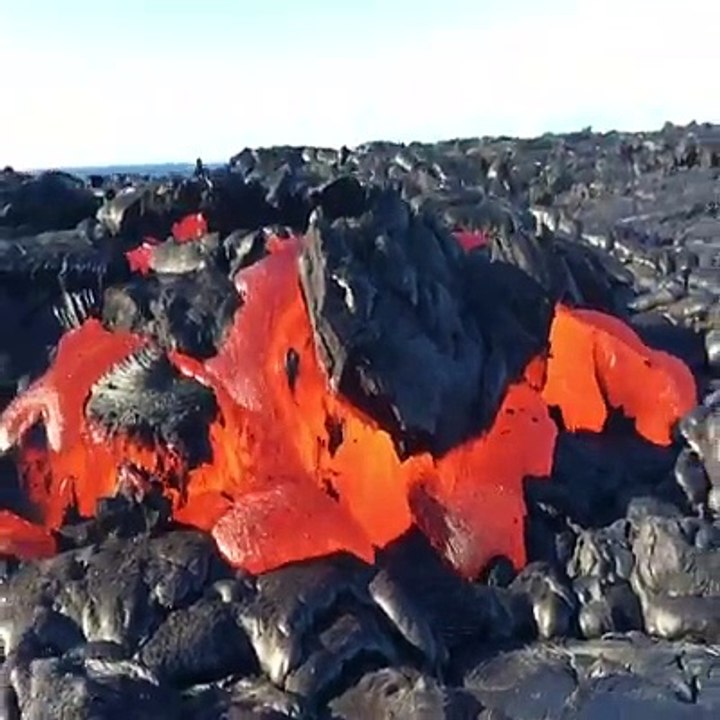LIVE volcano.