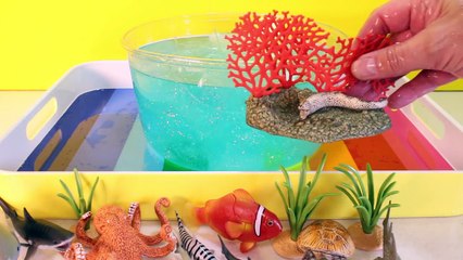 Download Video: DIY SHARK Toys Slime Aquarium Fish Tank - Toy Sharks, Sea Animals, Toys and Slime _ Craft Videos-FGWk-0rOWSE