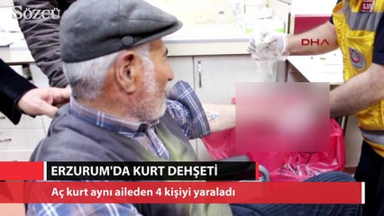 Erzurum'da kurt dehşeti