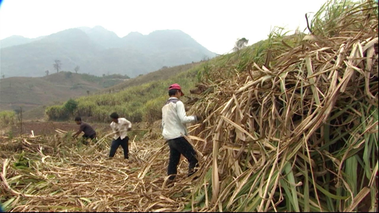 Myanmar fighting takes toll on Shan State civilians