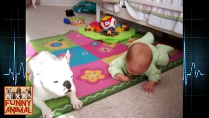 Dog Crawling With Baby Cause They're A Couple - Perro arrastre a causa del bebé son una pareja