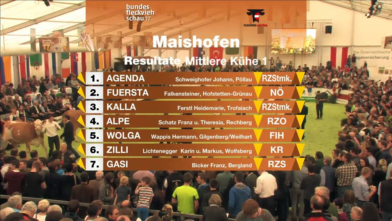 Fleckviehschau 2017 Relive ab Jungkühe 3