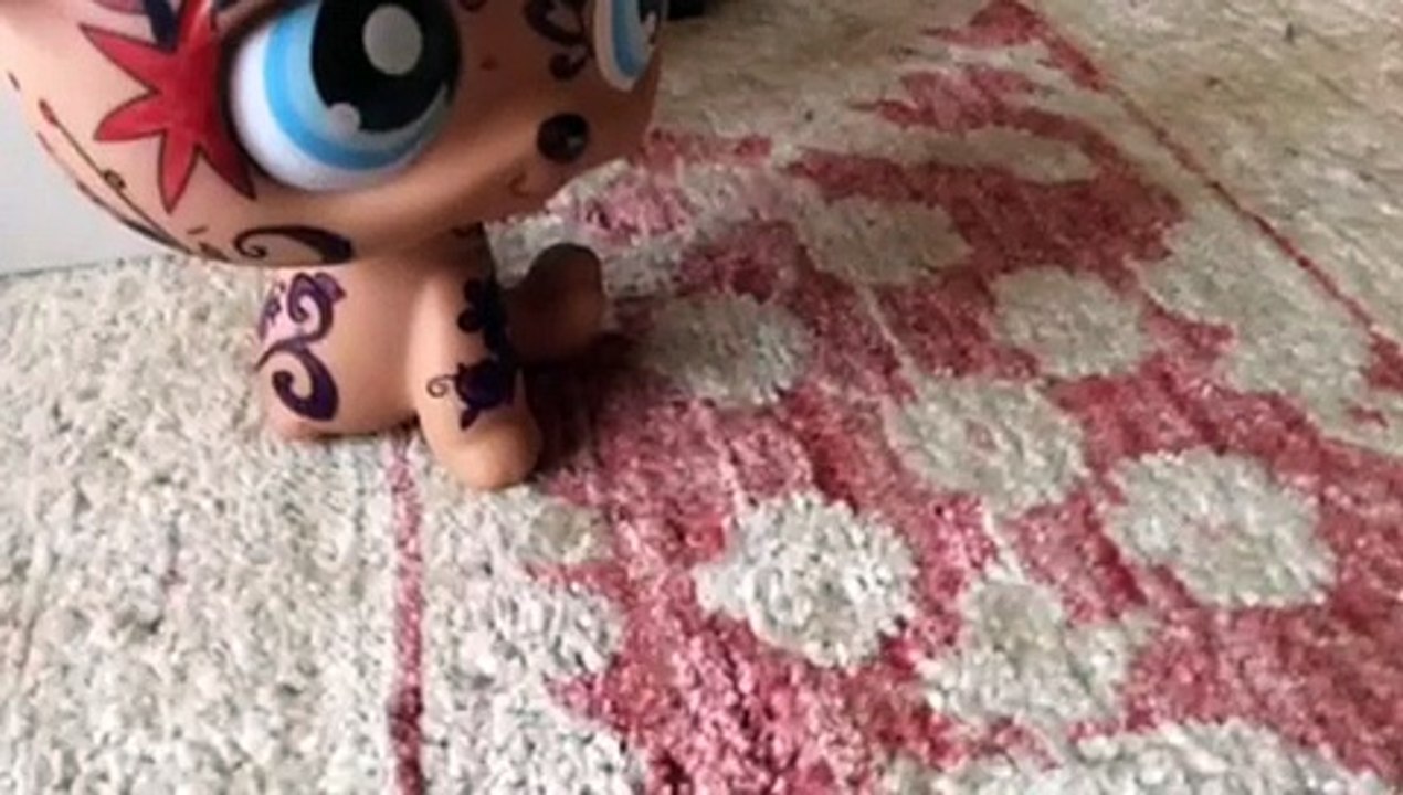 mon Petshop marche tout seul XD