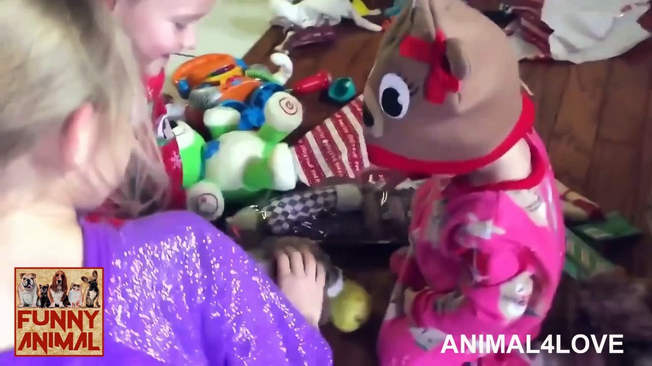 Gift Amazing Moments of Dog And Baby - Momentos increíbles de perro y bebé de regalo