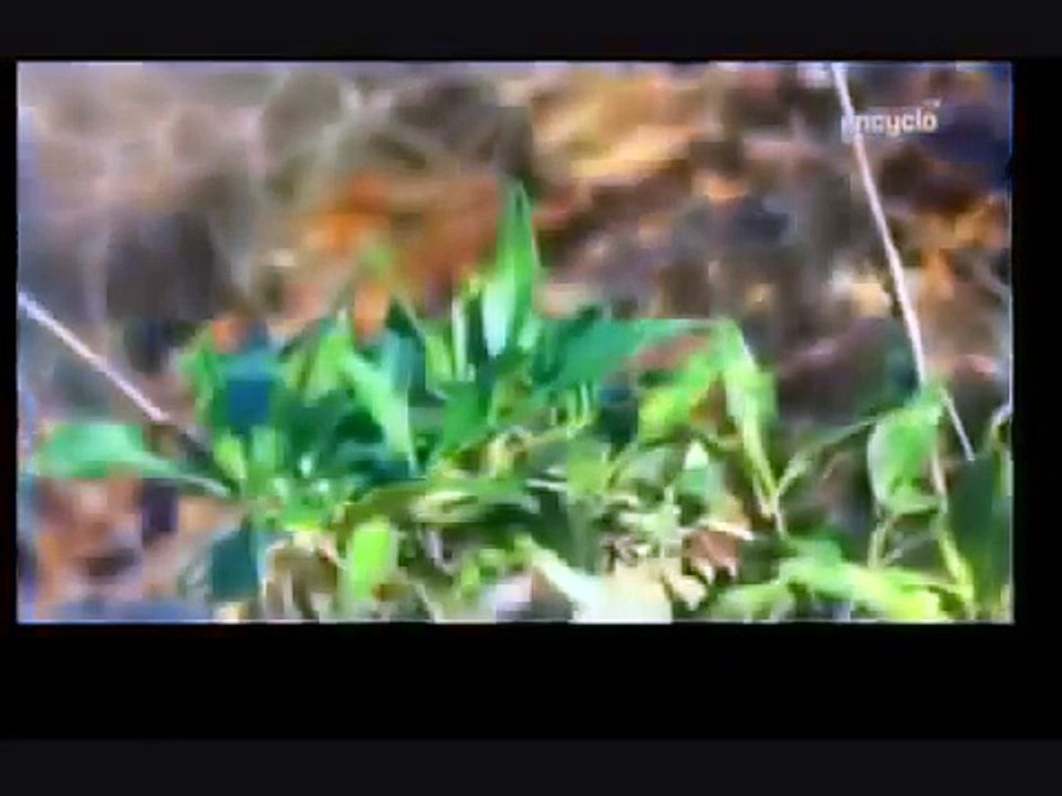 Documentaire 2016 - La fin du monde s'approche | Documentaire science