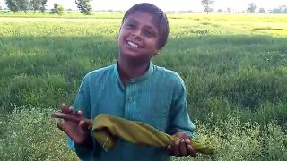 little boy with amazing punjabi voice...