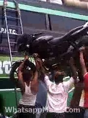 This Man Lifting A Pluser Bike On His Head