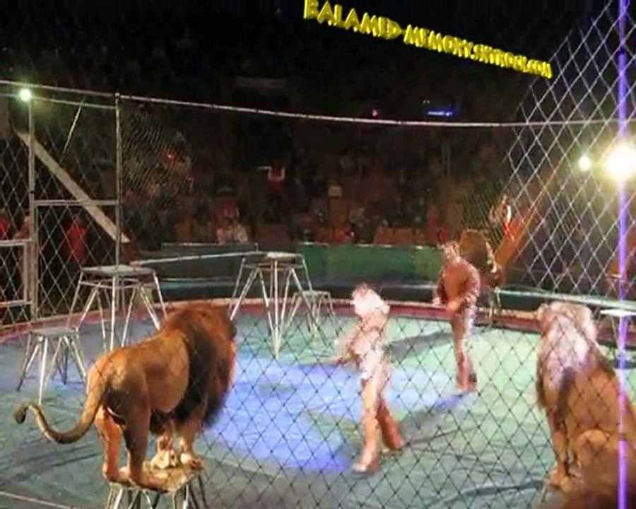 Attaque de Lion dans un cirque