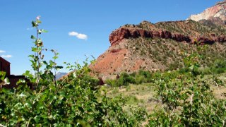 Zion National Park | Zion National Park Video