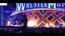 Wrestlemania 30 - Brock Lesnar vs. The Undertaker Highlights