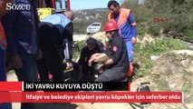 Sondaj kuyusuna düşen iki yavruyu böyle kurtardılar