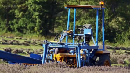 Le génie des plantes - En Provence