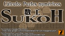 SUKOH - ¡Completa hasta 200 000 000 de niveles! Puzles que probarán tu paciencia.