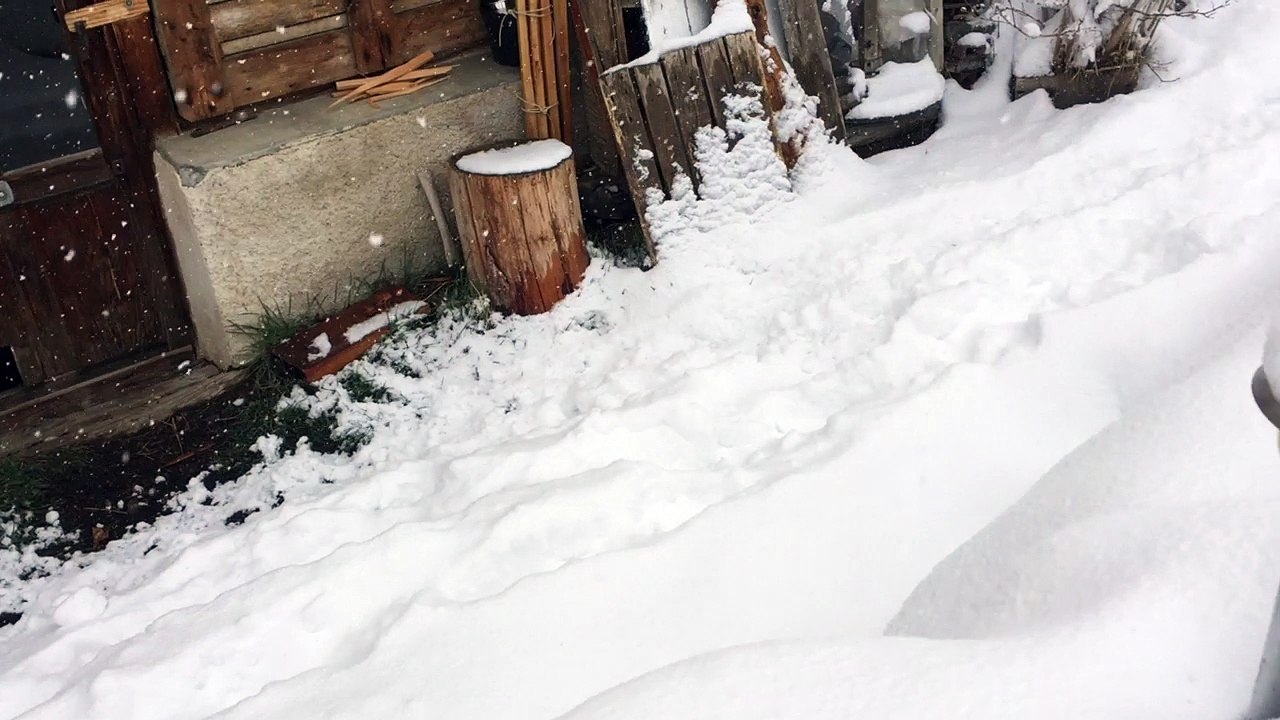 Neige du 2 Avril à Fontgillarde
