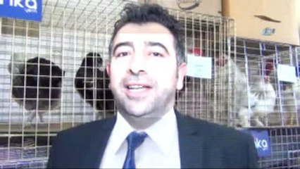 Rengarenk Yumurtalara İlgi Büyük