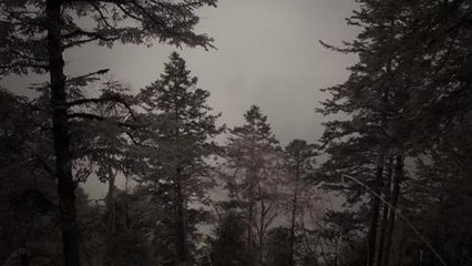 101 East - Saving China’s Pandas promo