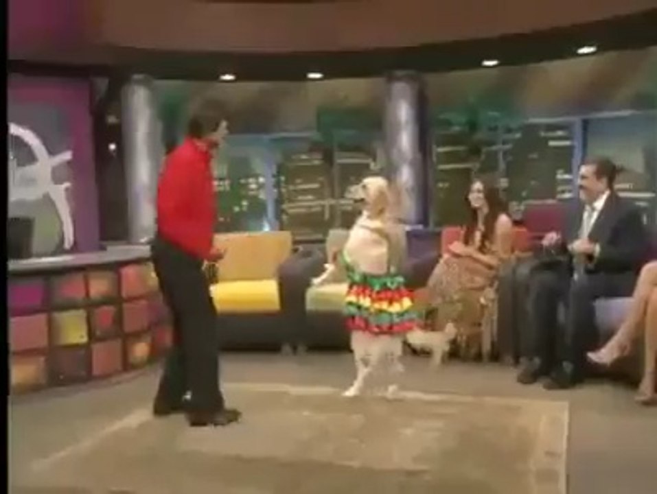 A Dog is Dancing With Man In Morning Show-On stage in Front of Beautiful Girls-nice Performance
