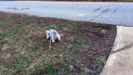 Z57 presents cold concrete