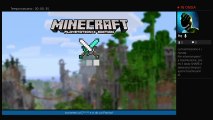 MINECRAFT INSIEME A GIUSEPPE | MiniGames e Survival PS4 #1 (29)