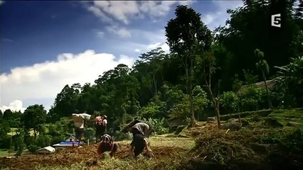 Les modes de vie des populations de l'Himalaya | Documentaire