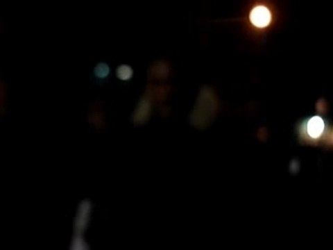 freestyle zombi shorty