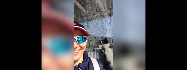 Ce chat protège bien sa maison !