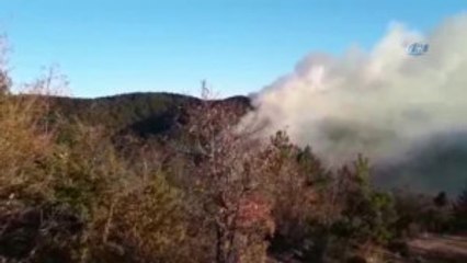 Kastamonu'da Orman Yangınları