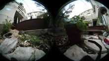 Visite à 360° dans le terrarium de Gudule