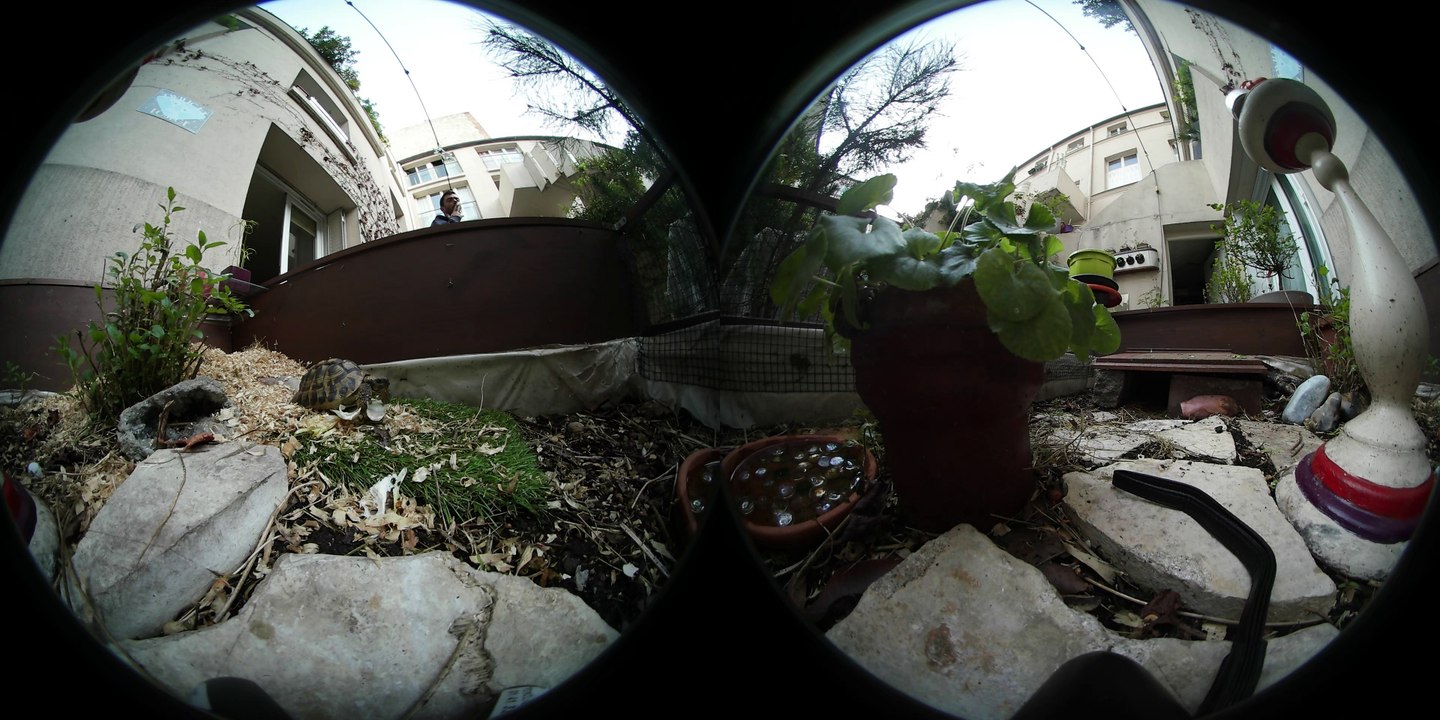 Visite à 360° dans le terrarium de Gudule