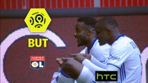 But Maxwel CORNET (53ème) / Stade Rennais FC - Olympique Lyonnais - (1-1) - (SRFC-OL) / 2016-17