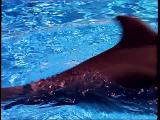 NOUVEAU en FRANCE: Brosse à Dents Silver Care