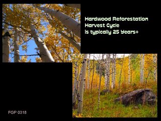 Club Twin India America Friends Circle