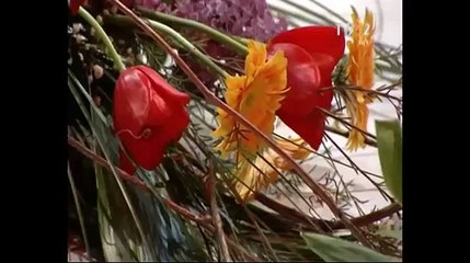 Elena Mandrescu - Taraneasca la podea (TVR 2 - 15.05.2016)