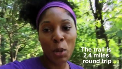 Funs facts about Kennesaw Mountain