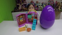 HUGE SURPRISE EGGior Videos Sheriff Callie Surprise Toy