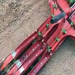 İnsanoğlu aklını kullanmaya devam ediyor.. İşte bir örnek daha