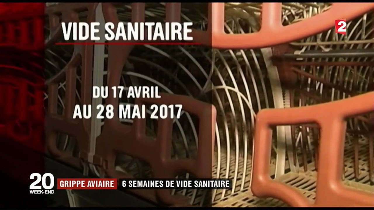 Grippe aviaire : six semaines de vide sanitaire
