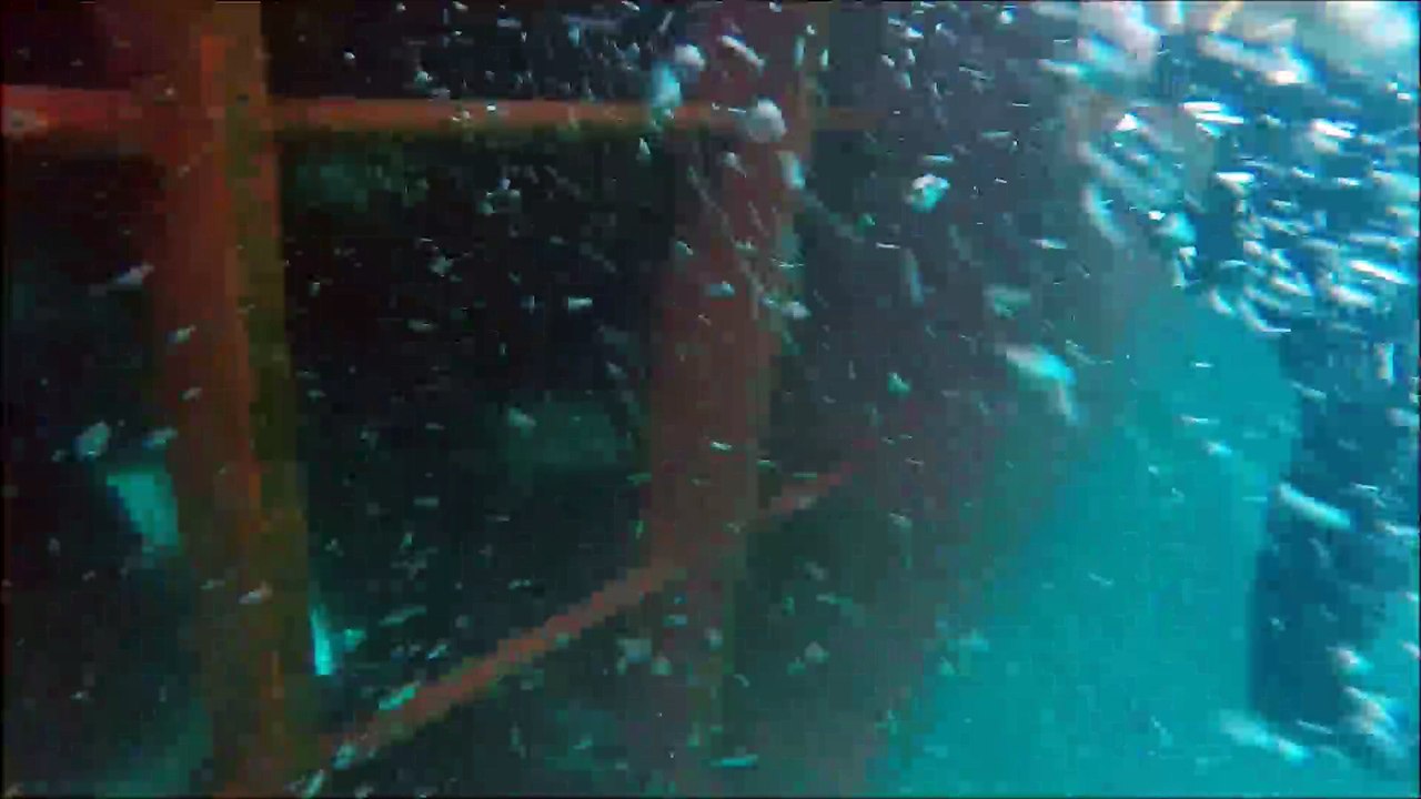port.bow-thruster
