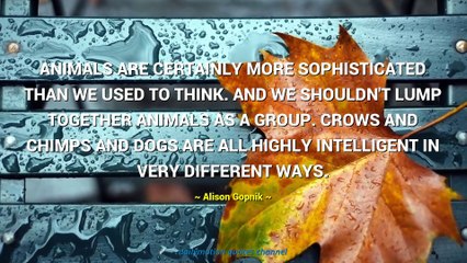 Alison Gopnik Quotes #1