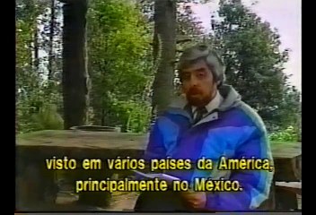 OVNI Flagrado Por 4 Pessoas em 1991 Cidade do México