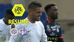 Montpellier Hérault SC - Toulouse FC (0-1)  - Résumé - (MHSC-TFC) / 2016-17