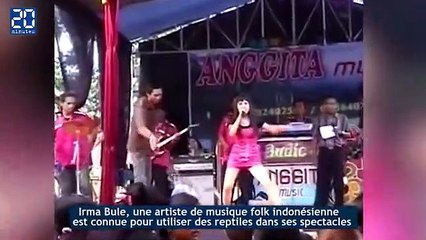 Une chanteuse meurt, mordue par un cobra pendant un concert