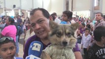 Nicaragüenses agradecen a San Lázaro por sanar a sus perros